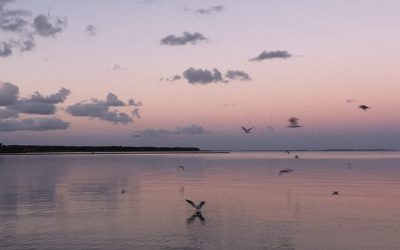 5 Topics You Need to Discuss With Your Divorce Lawyer